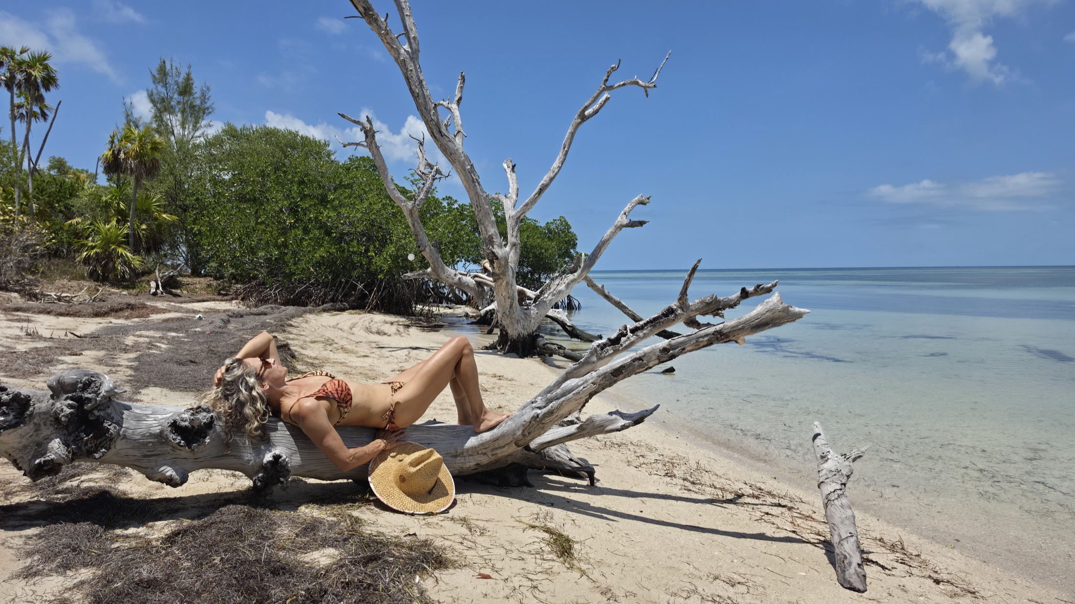 Dr. Johnna resting on driftwood at the edge of clear water in the Florida Keys
